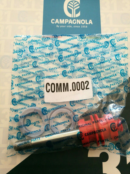 PISTONE+GUARNIZIONE ABBACCHIATORE CAMPAGNOLA