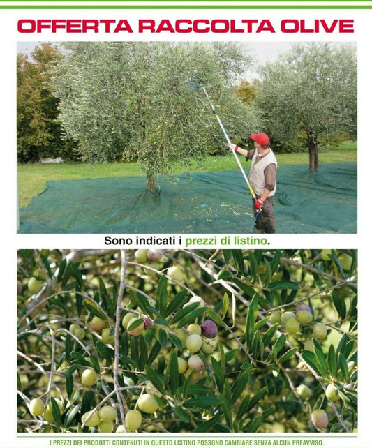 OFFERTA ATTREZZATURE RACCOLTA OLIVE ABBACCHIATORI/ASTE/MOTOCOMPRESSORI