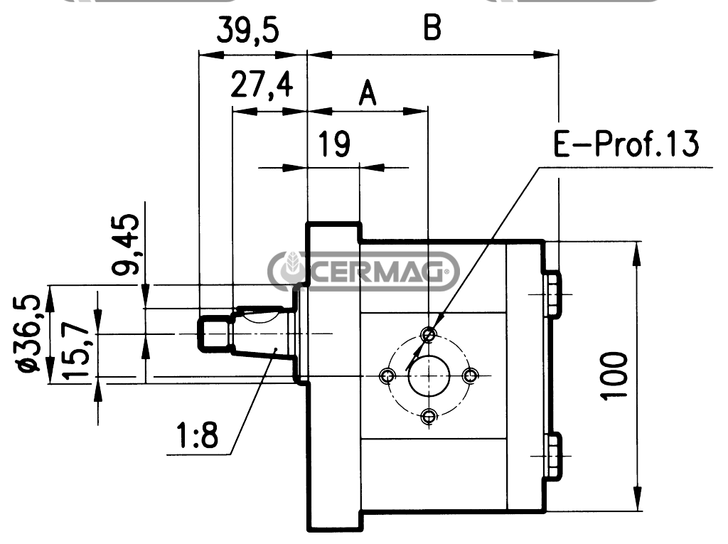 POMPE AD INGRANAGGI GRUPPO 2 - PER TRATTORI FIAT - ALBERO CONICO - 11,4 cm3, des